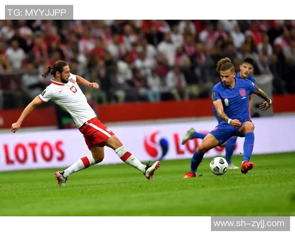 2018年世界杯预选赛波兰对阵黑山精彩回顾与赛后分析