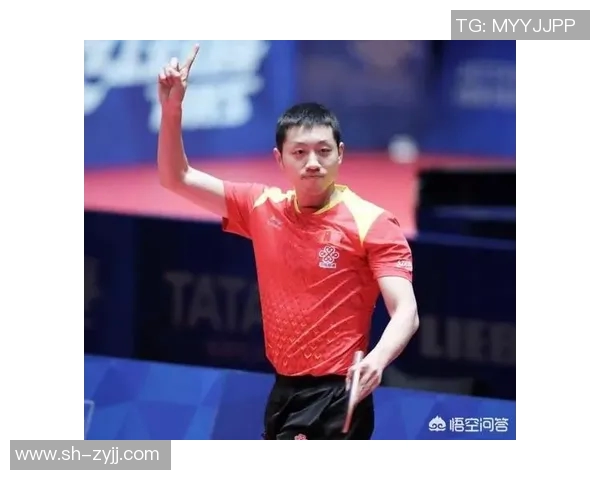 南京乒乓球队在全国耐力排行榜中荣获第九名的辉煌成就