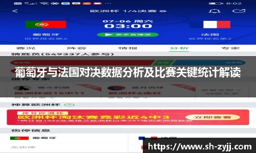 葡萄牙与法国对决数据分析及比赛关键统计解读